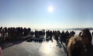 Wasserweihe am Plattensee im Jänner 2017